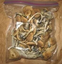 Weed For Sale In Oman